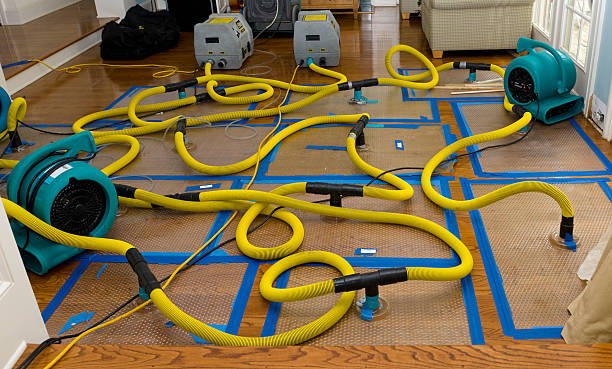 Professional Sewage Cleanup technician working in Springville, IA